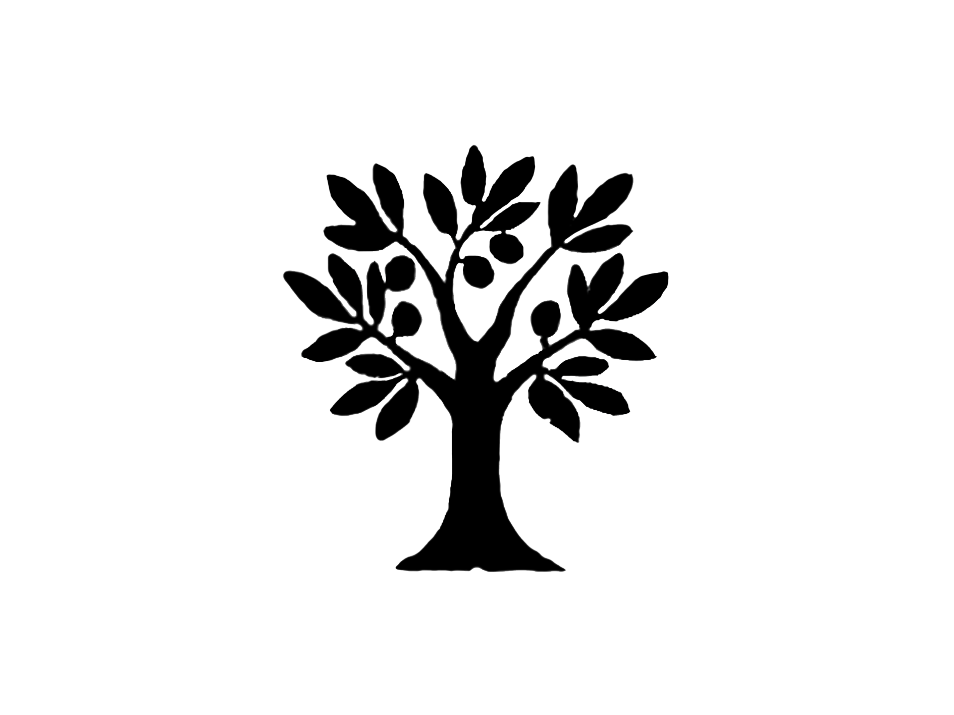 Olives Logo